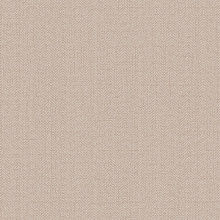 Однотонные коричневые обои (фон) Alessandro Allori Bruni 1002-18 RBN