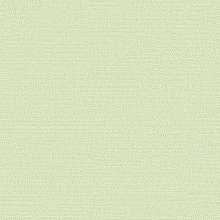 Рулонные обои для стен Alessandro Allori Bruni 1003-13 RBN Рулонные обои для стен Alessandro Allori Bruni 1003-13 RBN