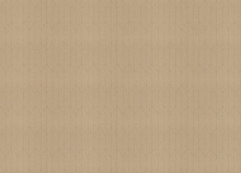 Rasch Golden Hour 941142