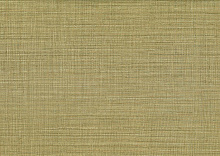 AltaGamma Fibers 1VZ 25875